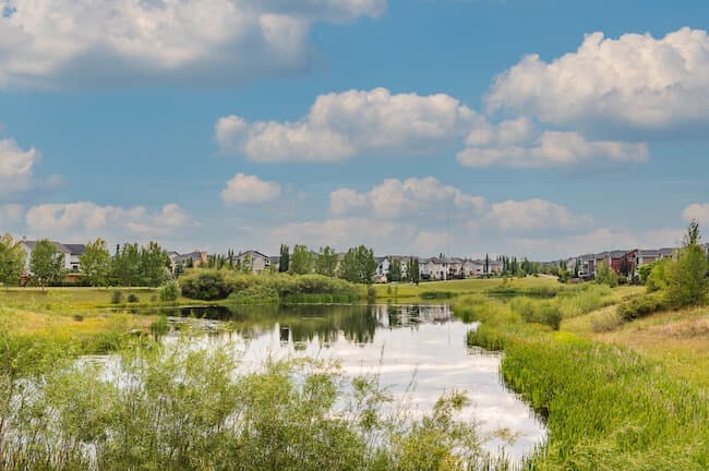 Cougar Ridge pond and green space at sunset